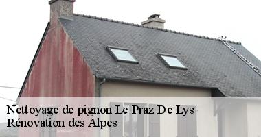 nettoyage-de-pignon