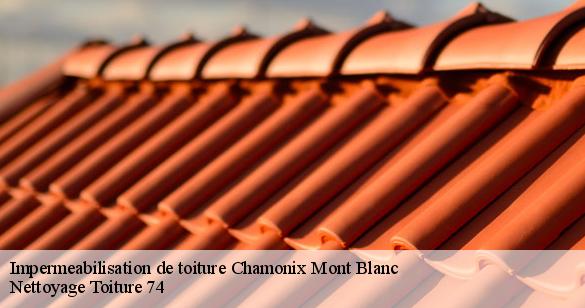 impermeabilisation-de-toiture