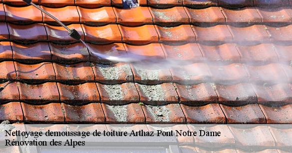 nettoyage-demoussage-de-toiture