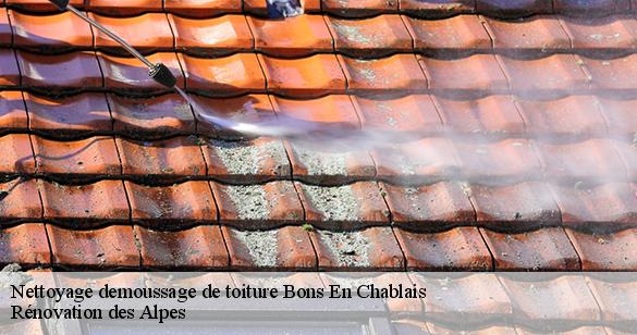 nettoyage-demoussage-de-toiture