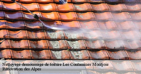 nettoyage-demoussage-de-toiture