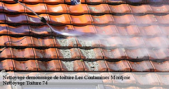 nettoyage-demoussage-de-toiture