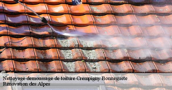 nettoyage-demoussage-de-toiture