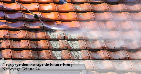 nettoyage-demoussage-de-toiture