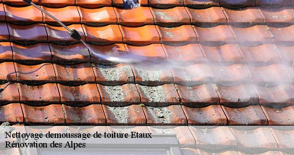 nettoyage-demoussage-de-toiture
