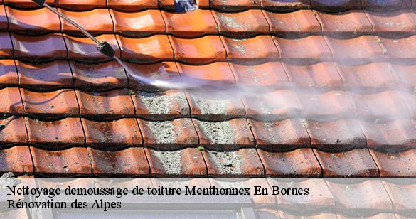 nettoyage-demoussage-de-toiture