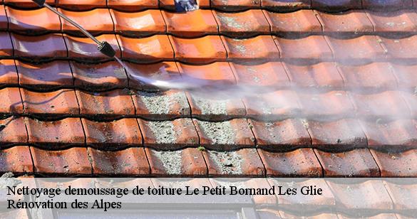 nettoyage-demoussage-de-toiture