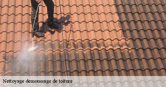 nettoyage-demoussage-de-toiture