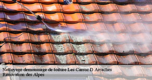 nettoyage-demoussage-de-toiture