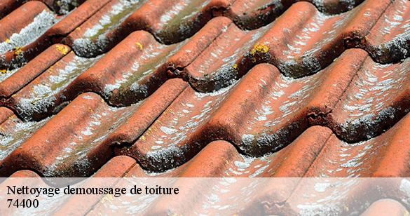 nettoyage-demoussage-de-toiture