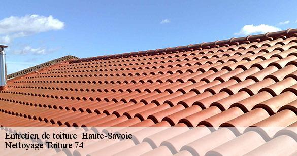 entretien-de-toiture