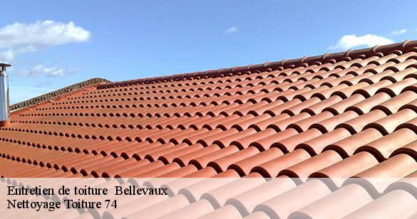 entretien-de-toiture