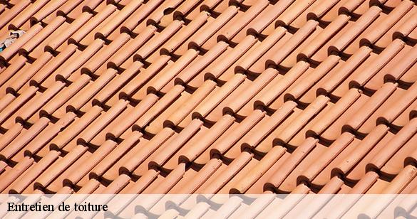 entretien-de-toiture