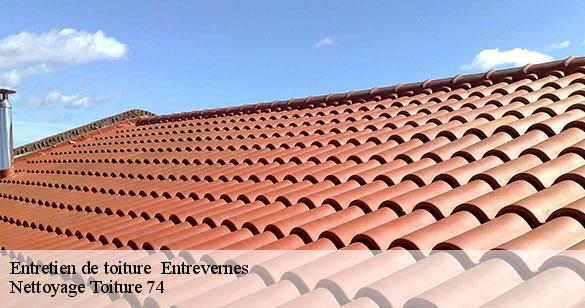 entretien-de-toiture