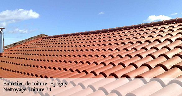 entretien-de-toiture