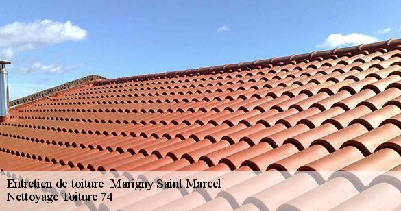 entretien-de-toiture