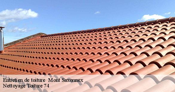 entretien-de-toiture