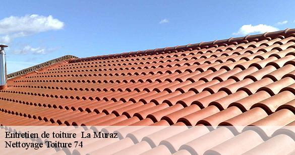 entretien-de-toiture