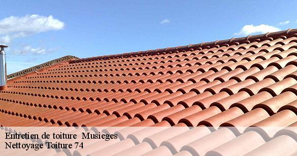 entretien-de-toiture