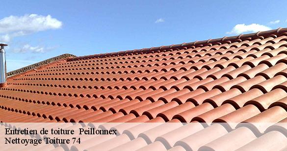 entretien-de-toiture