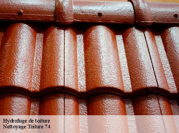 hydrofuge-de-toiture