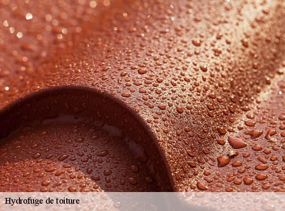 hydrofuge-de-toiture