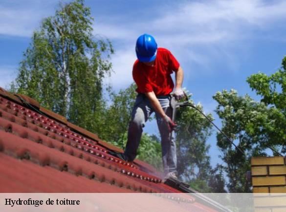 hydrofuge-de-toiture