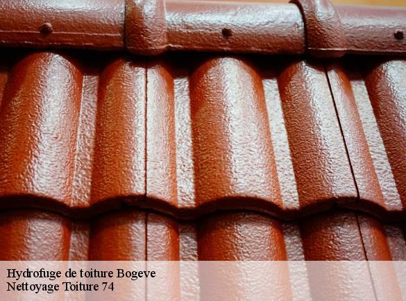 hydrofuge-de-toiture