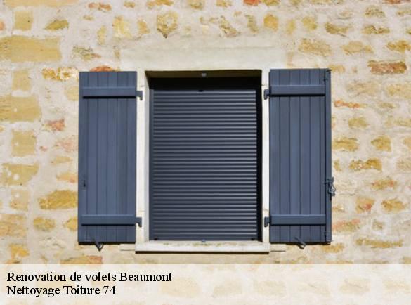 renovation-de-volets