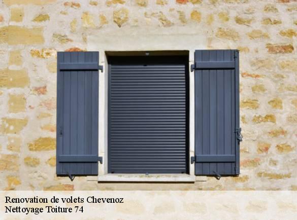 renovation-de-volets