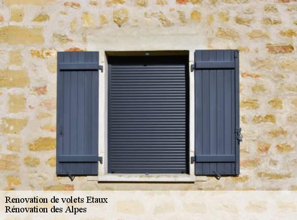renovation-de-volets