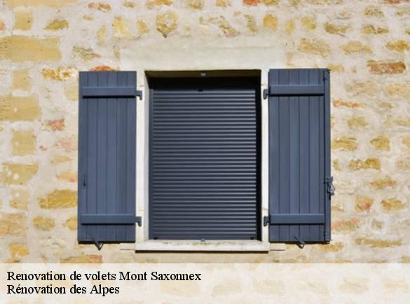 renovation-de-volets