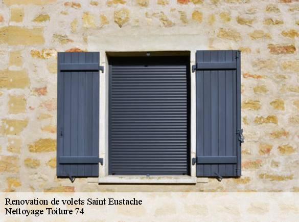 renovation-de-volets