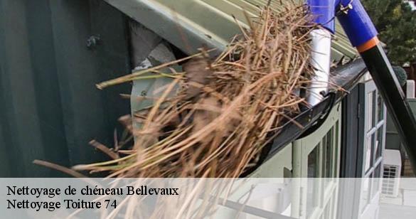 nettoyage-de-cheneau