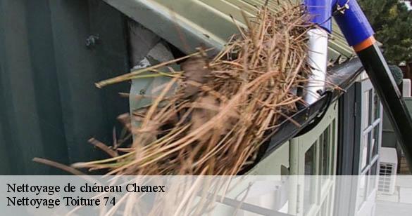 nettoyage-de-cheneau