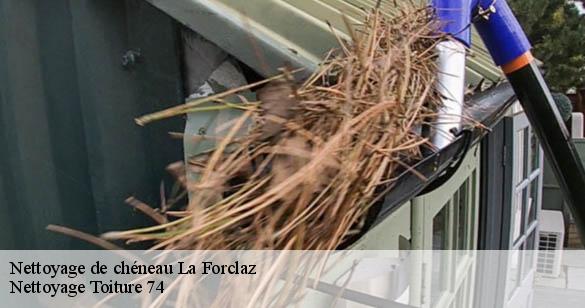 nettoyage-de-cheneau