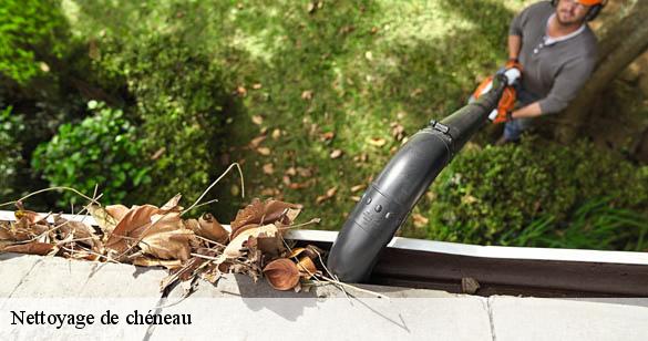 nettoyage-de-cheneau