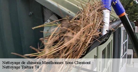 nettoyage-de-cheneau