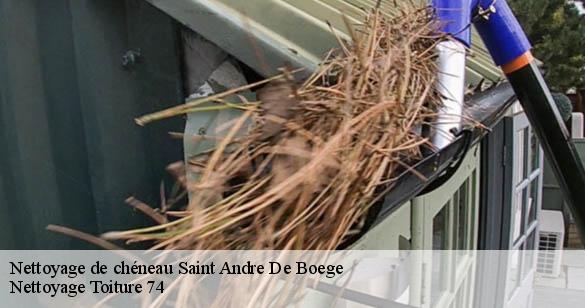 nettoyage-de-cheneau