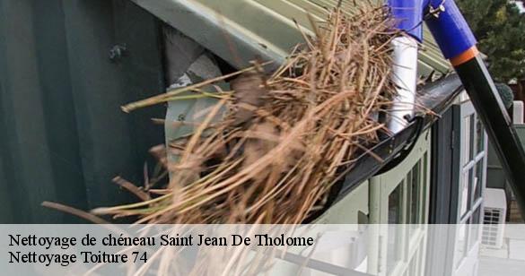 nettoyage-de-cheneau