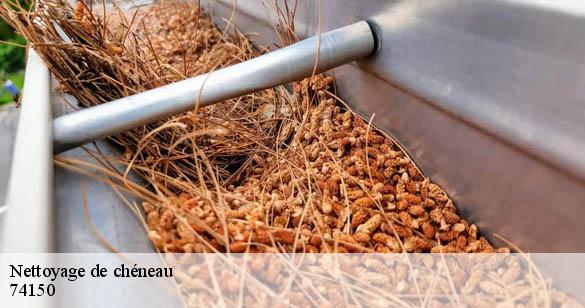nettoyage-de-cheneau